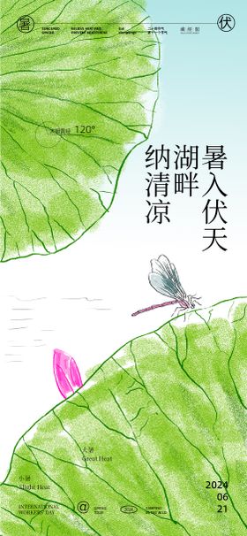 荷叶插画海报