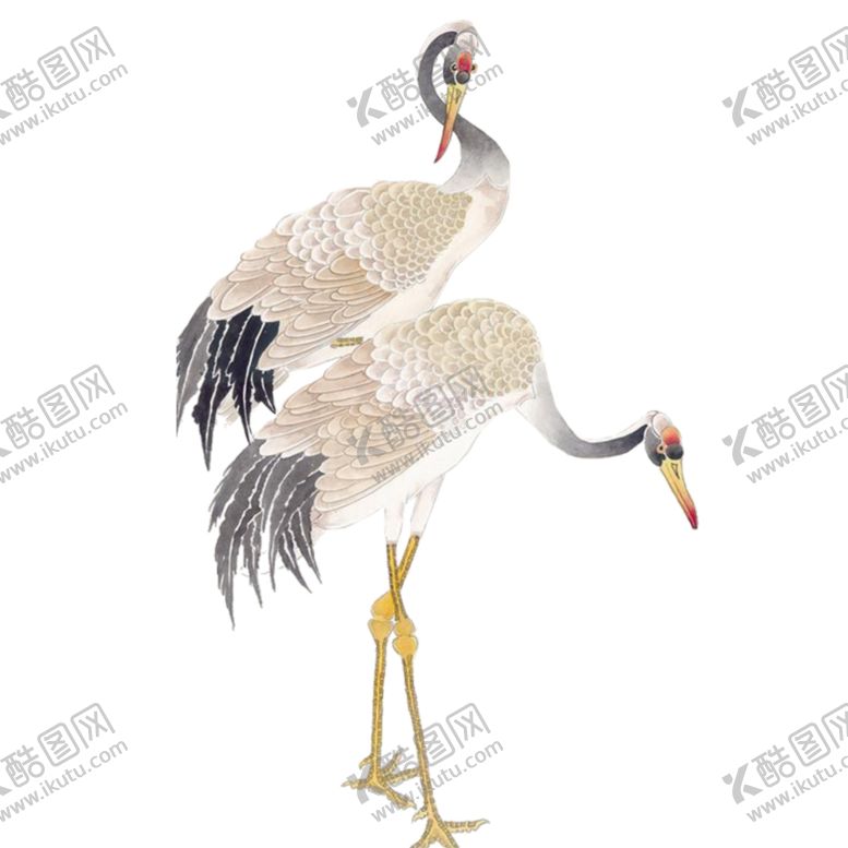 编号：64670006262021095397【酷图网】源文件下载-仙鹤
