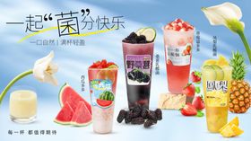 乳酸菌系列