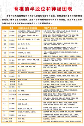 脊椎的半脱位和神经图表