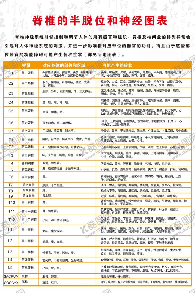 编号：20789205052018165486【酷图网】源文件下载-脊椎的半脱位和神经图表