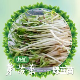 芽苗菜展示