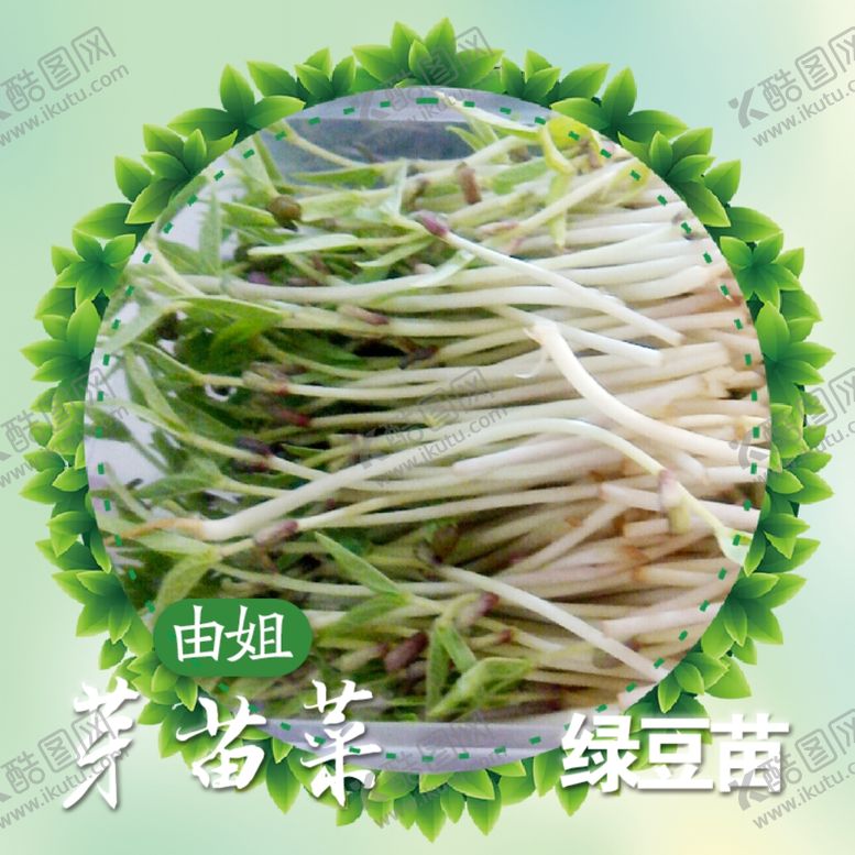 编号：52416505051754063803【酷图网】源文件下载-芽苗菜展示