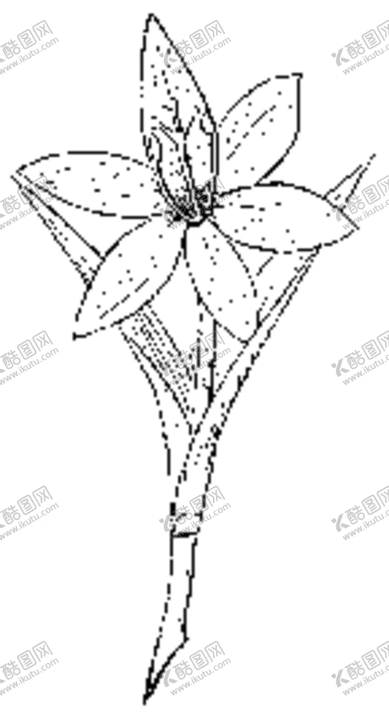 编号：57573304121833392963【酷图网】源文件下载-中西式雕花