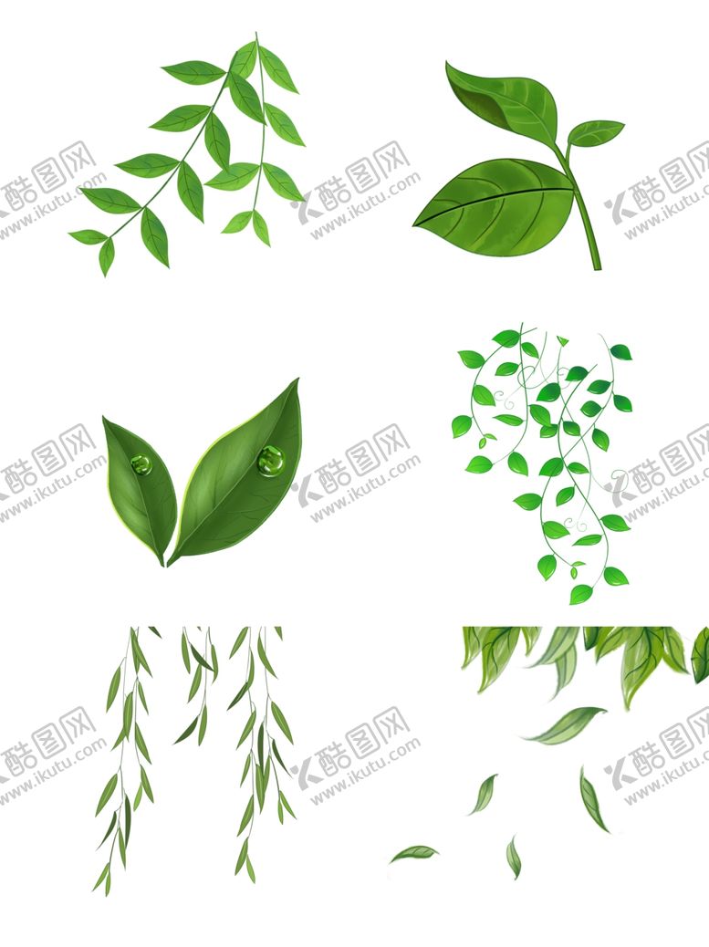 编号：99098909222210049327【酷图网】源文件下载-叶子素材