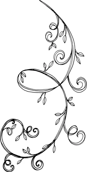 秘密花园叶子环圈儿童