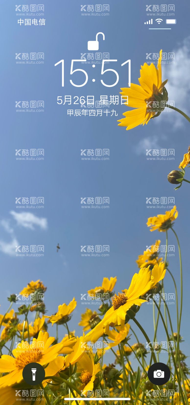 编号：50925202040106298236【酷图网】源文件下载-手机屏保花花阳光