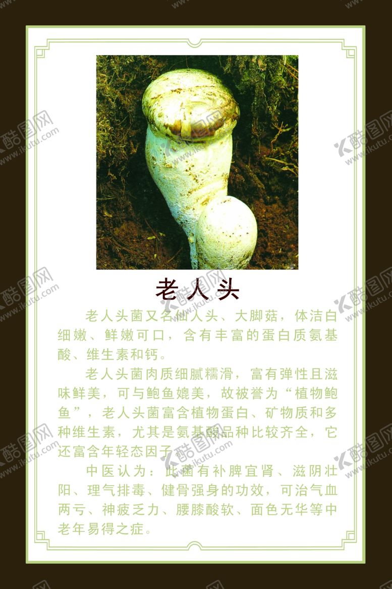 编号：53295605010445265780【酷图网】源文件下载-老人头介绍