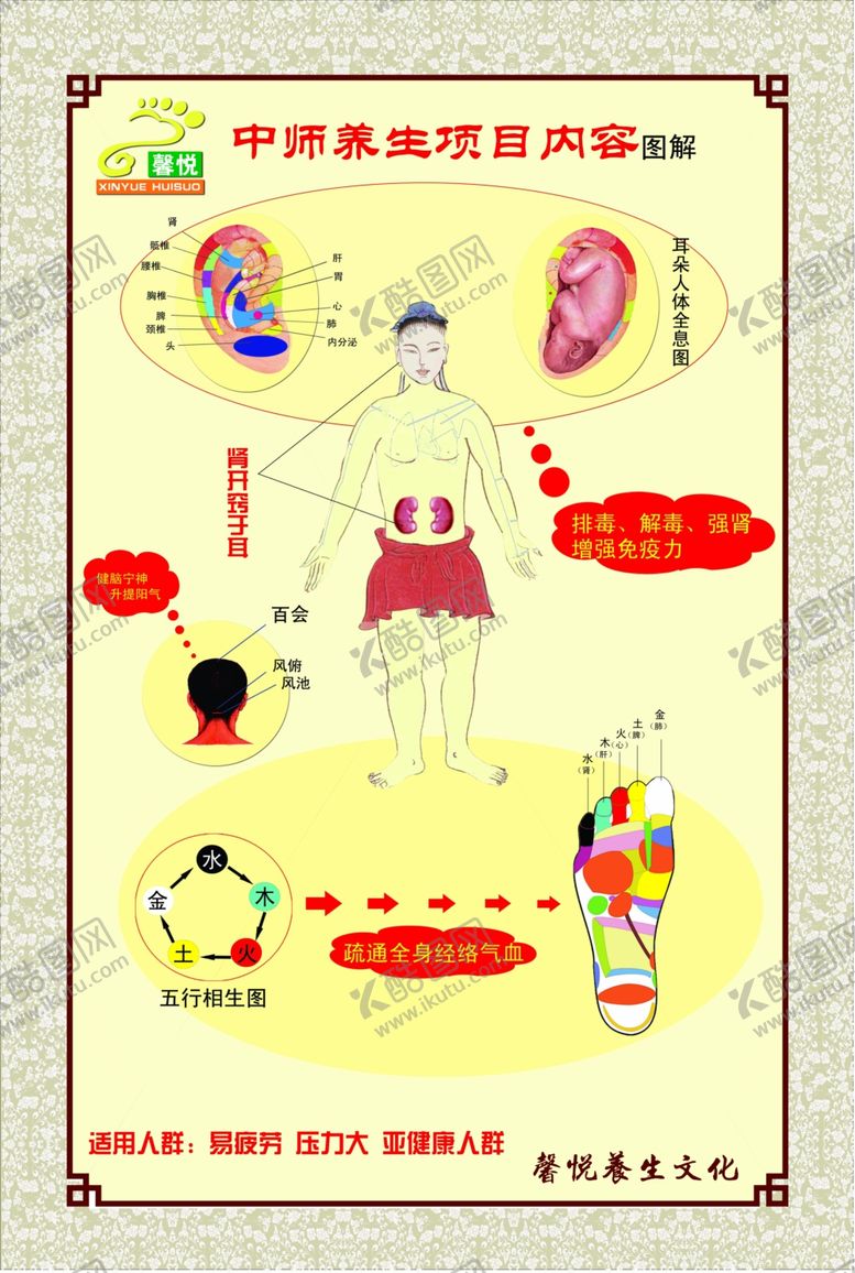 编号：56879902191141456199【酷图网】源文件下载-养生图解