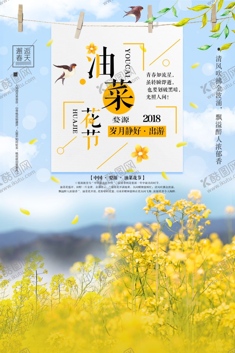 编号：54645310081041019910【酷图网】源文件下载-油菜花