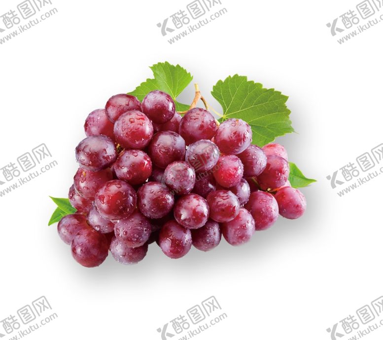 编号：65344109200442324705【酷图网】源文件下载-红葡萄