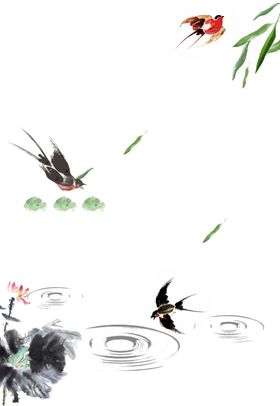 燕子素材