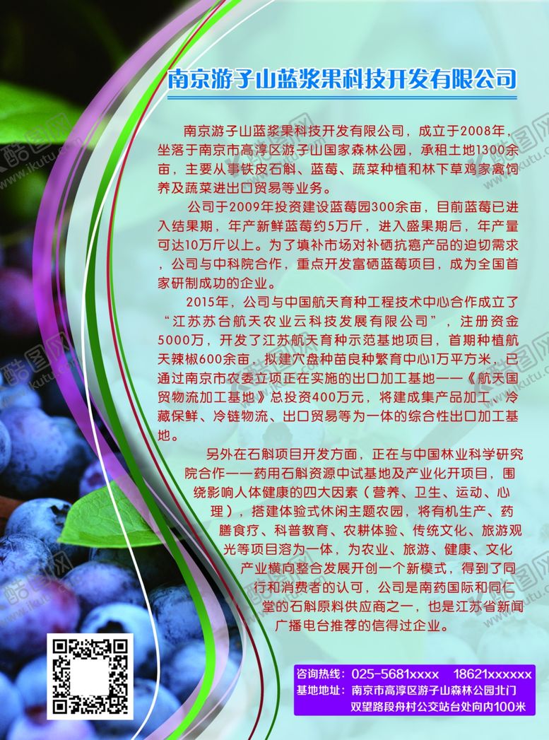编号：14114007081823014321【酷图网】源文件下载-蓝莓宣传单页
