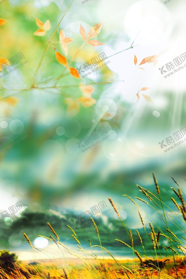 编号：60239310142100177917【酷图网】源文件下载-鲜花背景