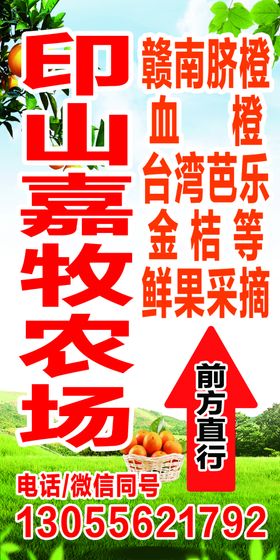 脐橙农场指示牌