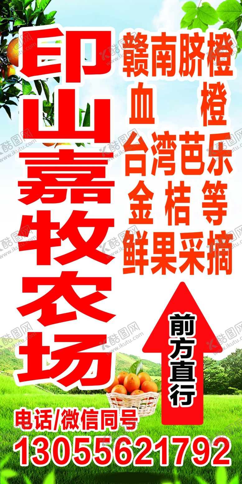 编号：50996204040150267758【酷图网】源文件下载-脐橙农场指示牌