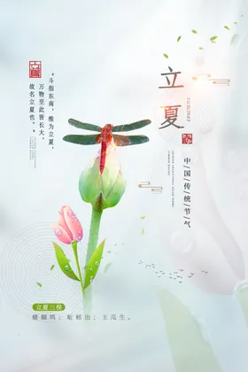 立夏传统节气至转发图宣传初