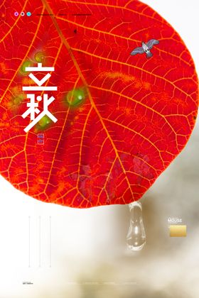 立秋