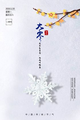 24节气创意海报大寒海报