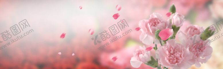 编号：94567609140514272684【酷图网】源文件下载-粉色花朵背景花瓣落花