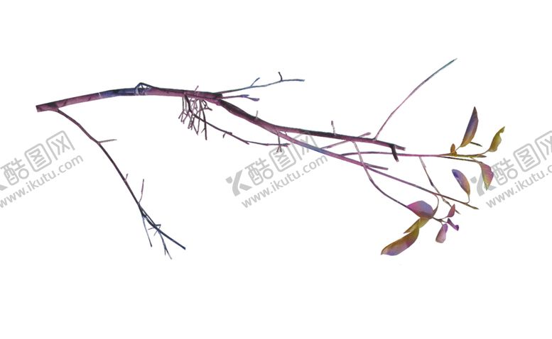 编号：23505006170811533948【酷图网】源文件下载-花叶