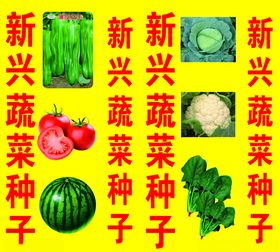蔬菜种子