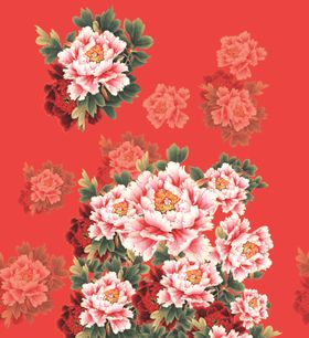 牡丹花