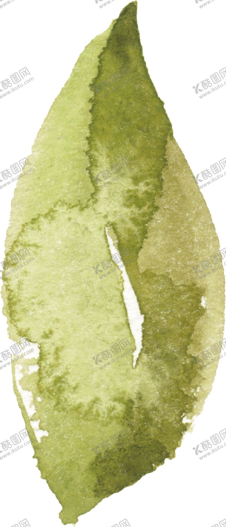 编号：57303309241424171912【酷图网】源文件下载-叶子