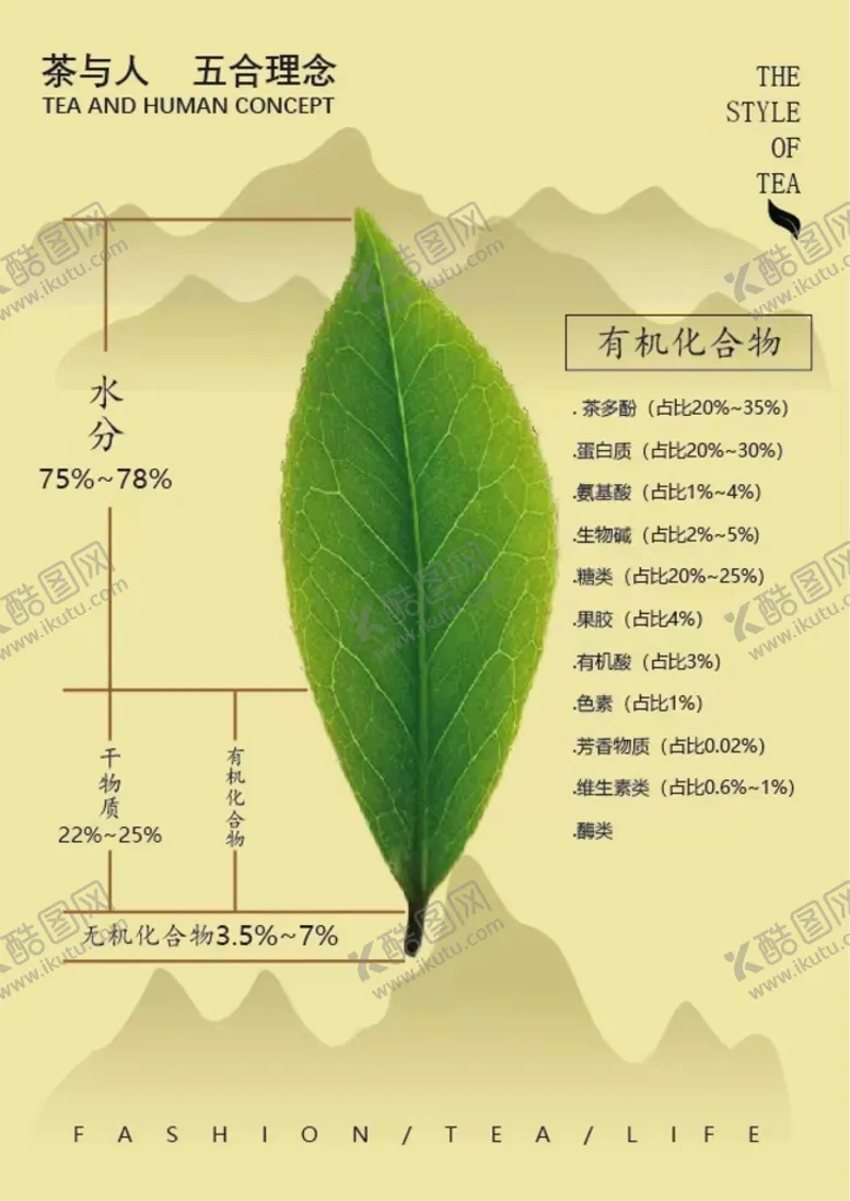 编号：06742809132038420639【酷图网】源文件下载-茶叶价绍海报AI创意设计