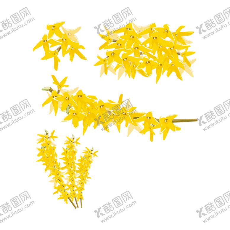 编号：56798906262147302572【酷图网】源文件下载-鲜花素材