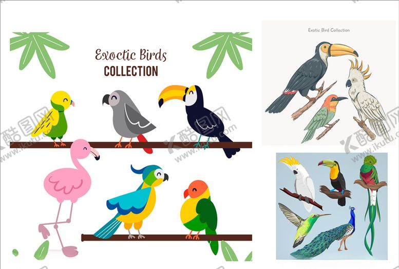 编号：51458910110926296967【酷图网】源文件下载-八哥鹦鹉