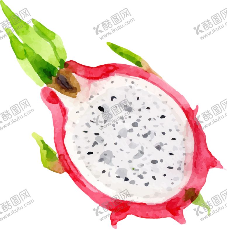 编号：70740210061021432828【酷图网】源文件下载-火龙果