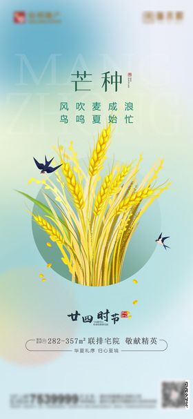 芒种房地产