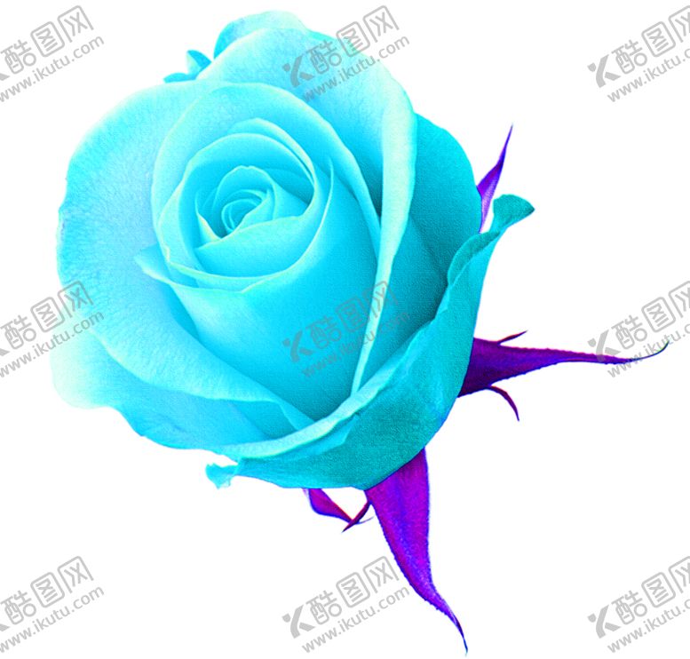 编号：98380905061904039117【酷图网】源文件下载-花素材