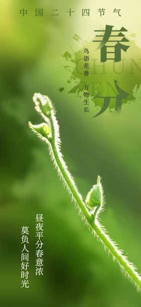 春分节气宣传海报展板新中式单屏
