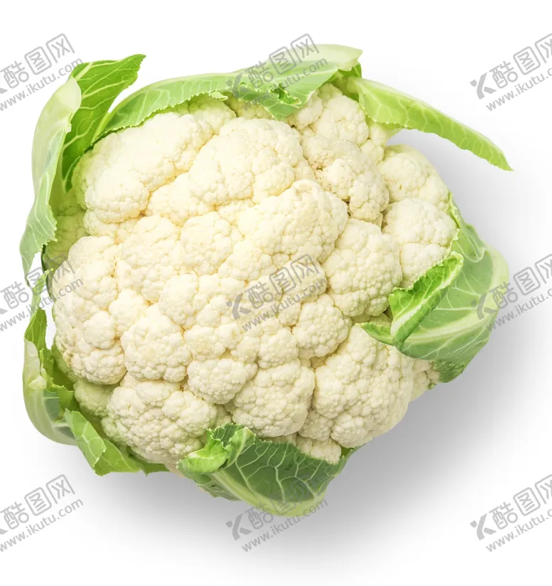 编号：47888804090047408556【酷图网】源文件下载-花菜