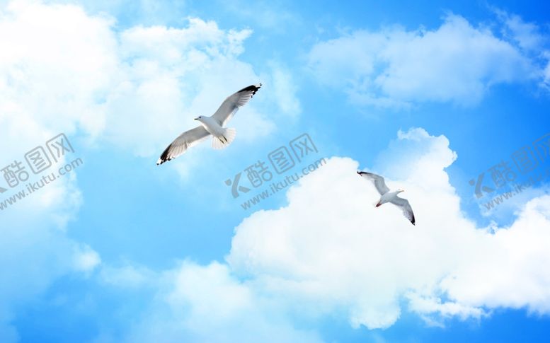 编号：87932705042253352986【酷图网】源文件下载-蓝天白云自由飞翔