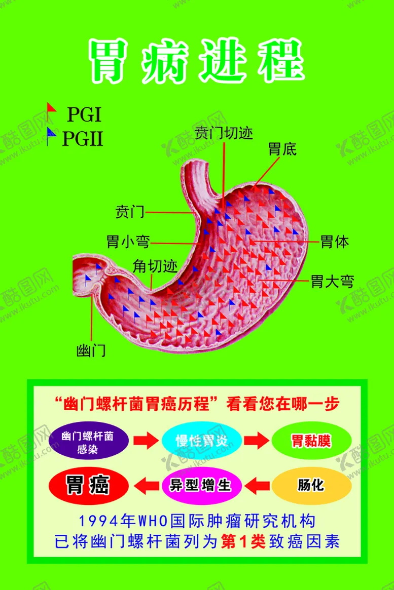编号：04612309190642007345【酷图网】源文件下载-胃病