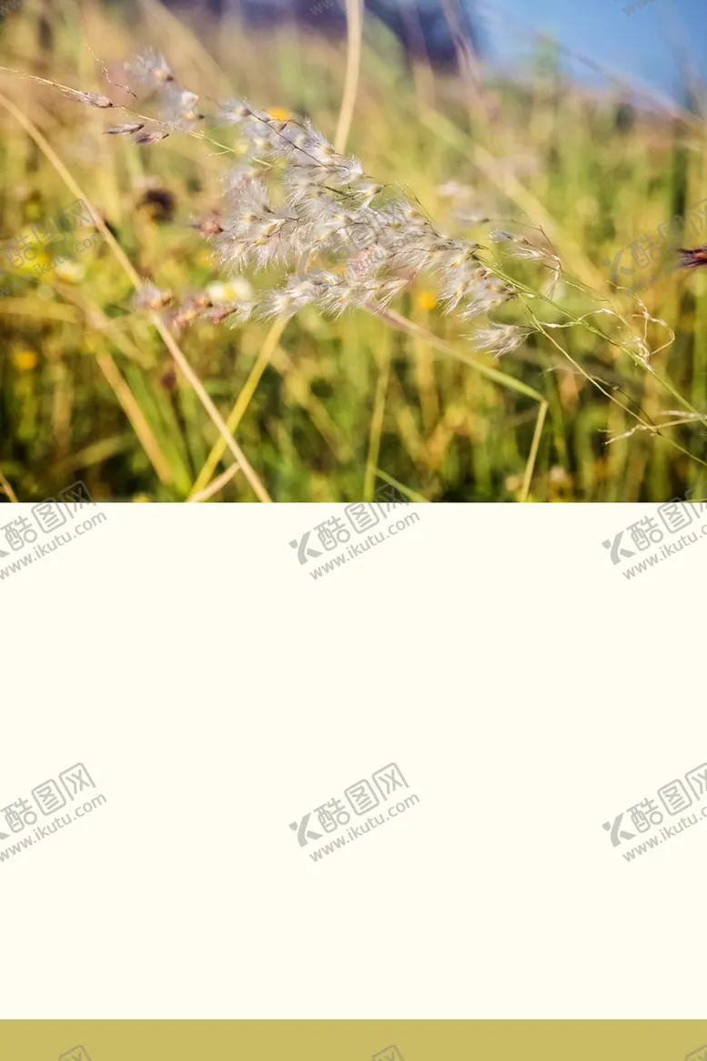 编号：51494901311652357313【酷图网】源文件下载-秋天氛围背景