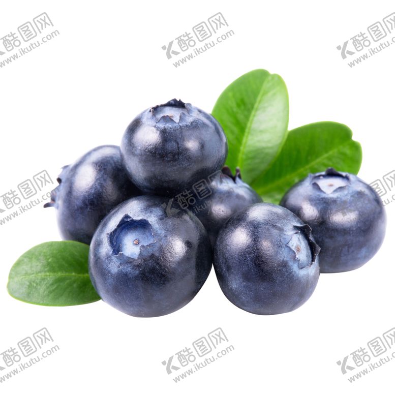 编号：98806609161932433828【酷图网】源文件下载-蓝莓