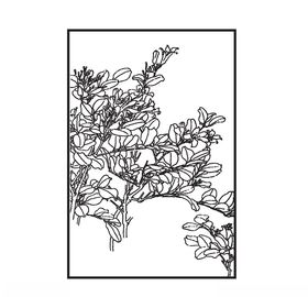 千里香历史简介