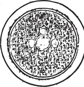 镂空花图案