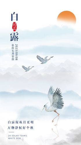 白露海报