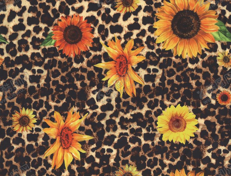 编号：46759310280515143516【酷图网】源文件下载-豹纹