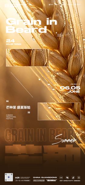 芒种节气夏天小麦