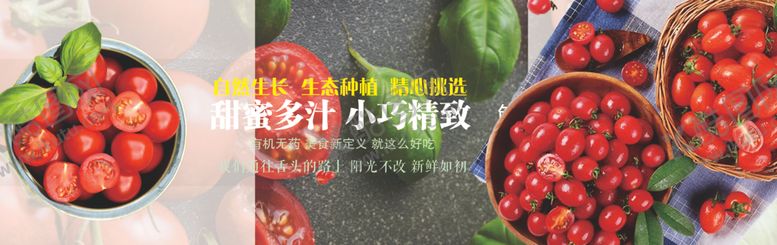 编号：66090104152001586844【酷图网】源文件下载-圣女果西红柿小西红柿小番