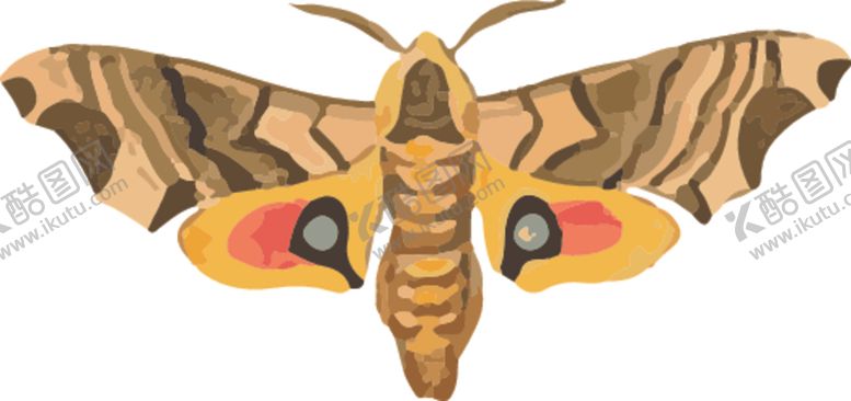 编号：50515507030647551205【酷图网】源文件下载-飞蛾昆虫插画