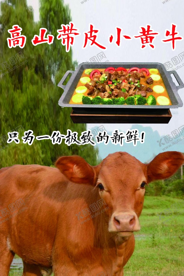 编号：85801109231959184540【酷图网】源文件下载-高山带皮小黄牛