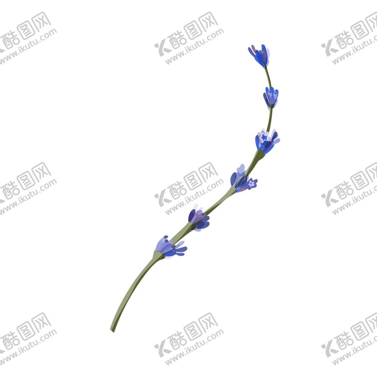 编号：59146509121907073033【酷图网】源文件下载-森系花枝