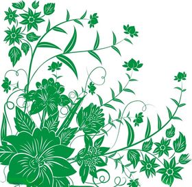花草牌绿草茵茵踏之可惜